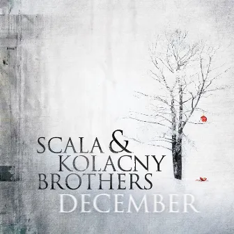 December by Scala & Kolacny Brothers