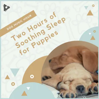 2 Hours of Soothing Sleep for Puppies by Music for Puppies