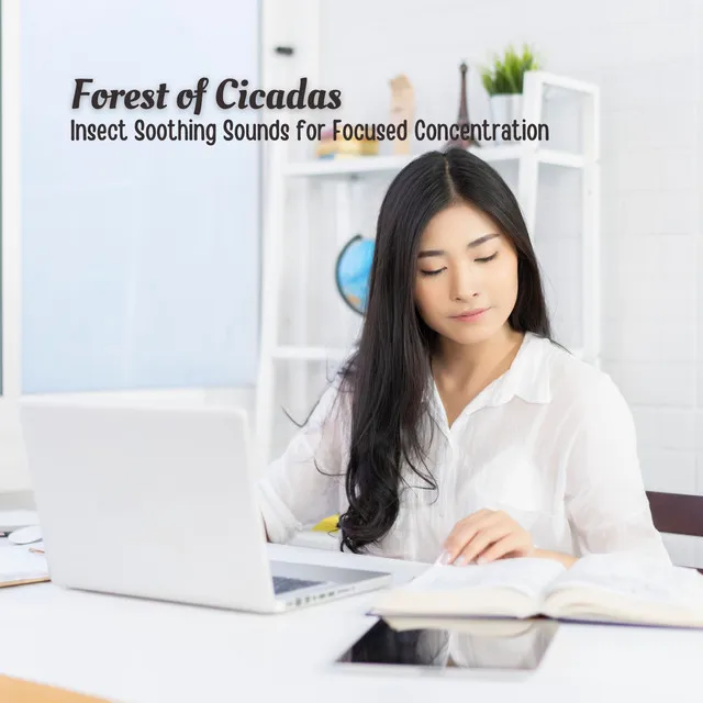 Forest of Cicadas: Insect Soothing Sounds for Focused Concentration