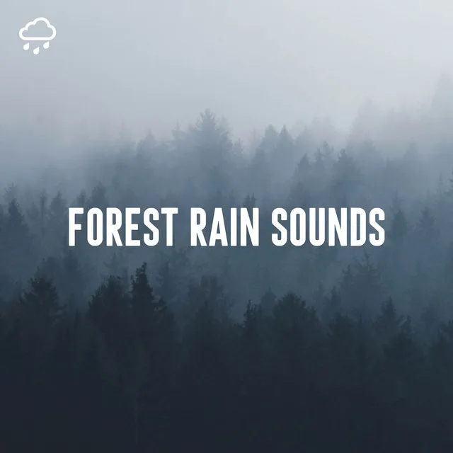 Relaxing Rain Recordings