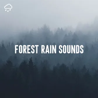 Forest Rain Sounds by Relaxing Rain Recordings