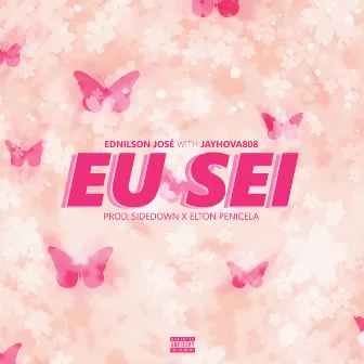 Eu Sei by Ednílson José