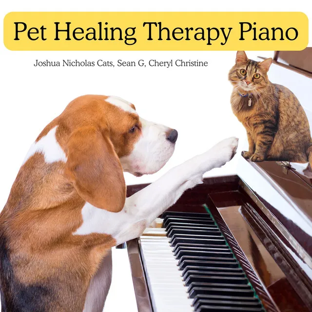 Pet Healing Therapy Piano