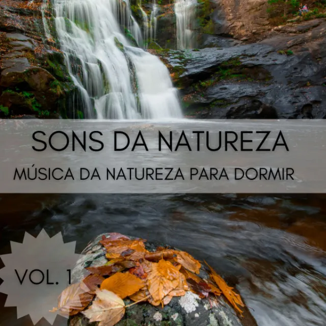 Sons Da Natureza, Vol. 1 (Música Da Natureza Para Dormir)