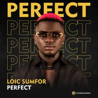 Perfect by Loic Sumfor