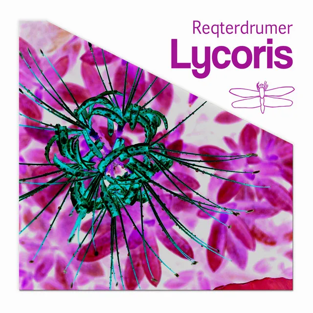 Lycoris - DJ GrujA Broken Remix