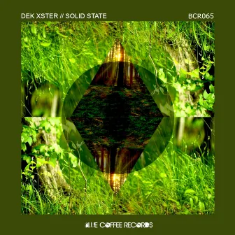 Solid State (Extended Mix) by DeK Xster