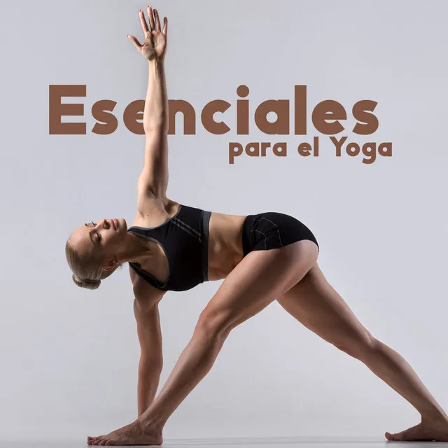 Esenciales para el Yoga (Música Relajante para el Yoga Diario)