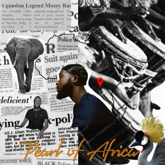 Pearl of Africa by Tungi