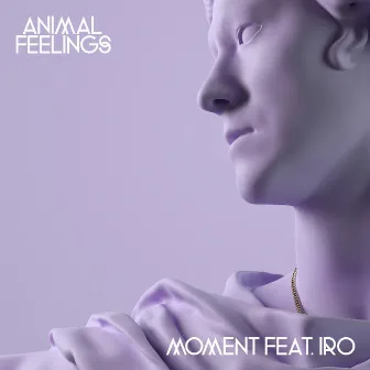 Moment by Animal Feelings