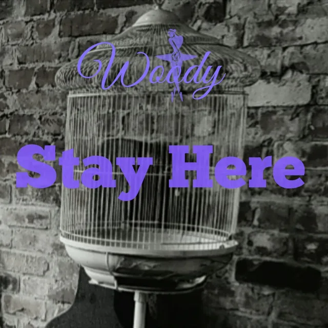 Stay Here