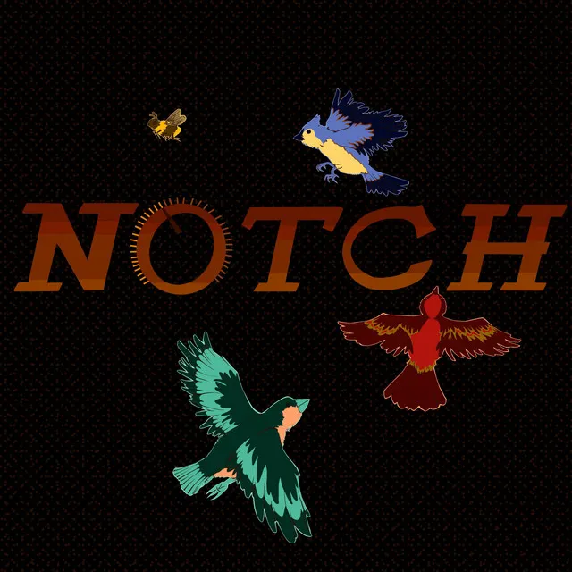 Notch