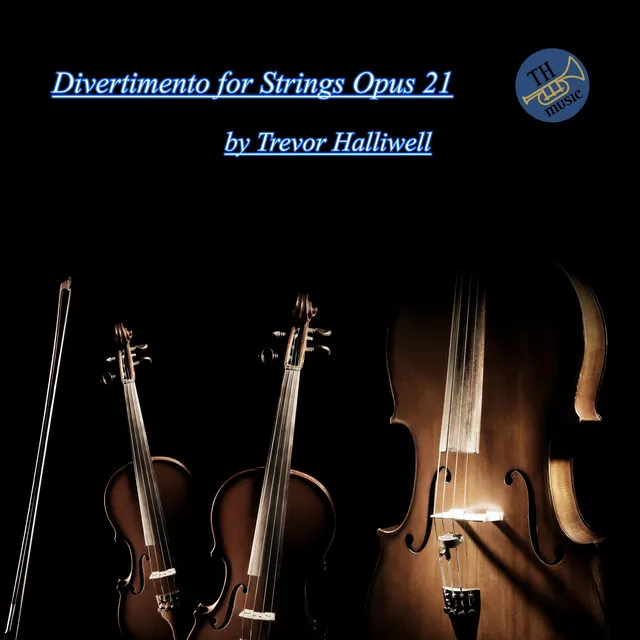 Divertimento for Strings Opus 21 - Movement 1 - Allegro con brio