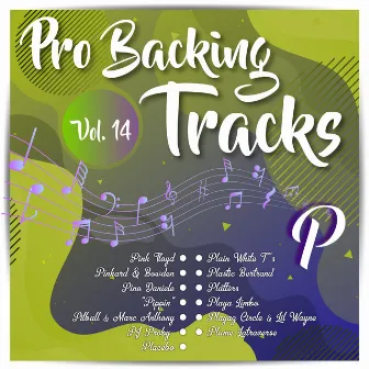 Pro Backing Tracks P, Vol.14 by Pop Music Workshop