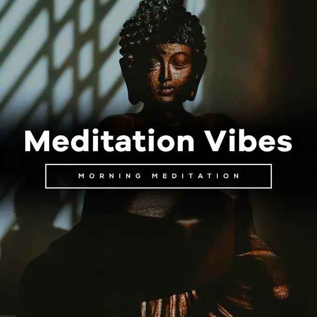 Meditation Vibes