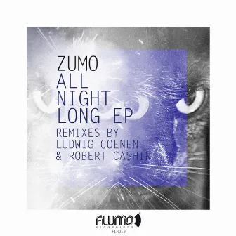 All Night Long by Zumo