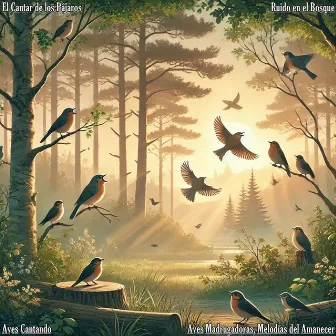 Aves Madrugadoras, Melodías del Amanecer by El Cantar de los Pájaros