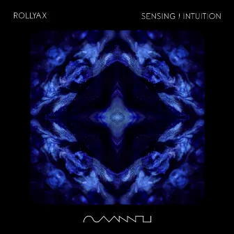 Sensing / Intuition by Rollyax