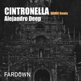 Cintronella (DAMN! Remix) by Alejandro Deep