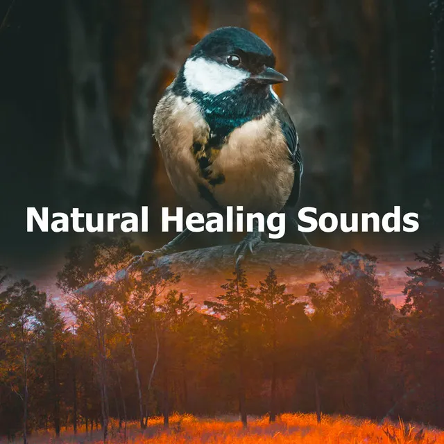 Natural Healing Sounds