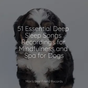 51 Essential Deep Sleep Songs Recordings for Mindfulness and Spa for Dogs by Relaxing Music for Dogs