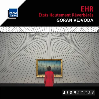 Vejvoda: Etats hautement réverbérés by Goran Vejvoda