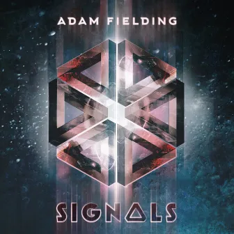 Signals by Adam Fielding