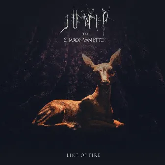 Line of Fire (feat. Sharon Van Etten) by Junip