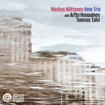 New Trio by Markus Niittynen