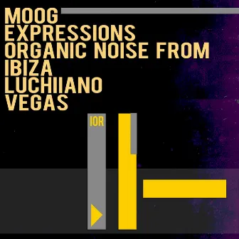 Moog Expressions by Organic Noise From Ibiza