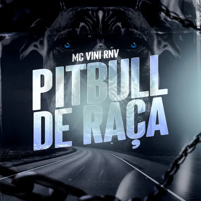 Pitbull de Raça