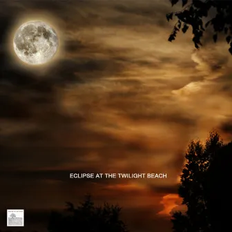 Eclipse at the Twilight Beach by Unknown Artist