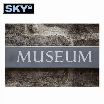 Museum by Sky 9