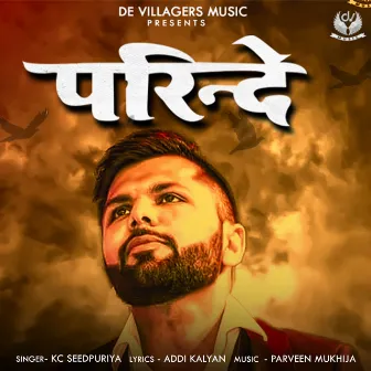 Parindey - Single by KC Seedpuriya