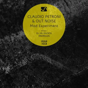 Mad Experiment by Claudio Petroni