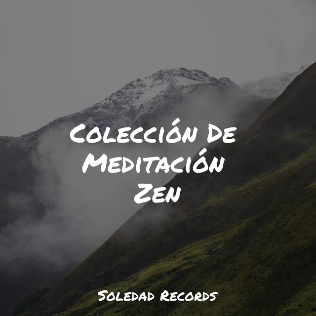 Colección De Meditación Zen