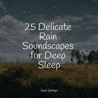 25 Delicate Rain Soundscapes for Deep Sleep by Water Sounds for Sleep