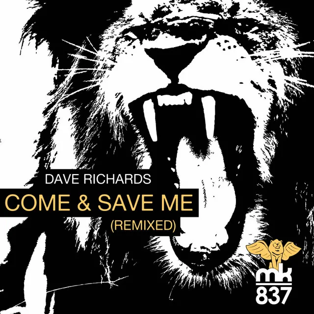 Come and Save Me - Raskal Remix