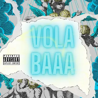 Vola Baaa by Quadro