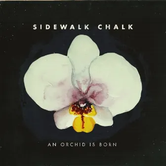 An Orchid Is Born by Sidewalk Chalk