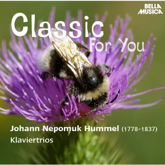 Classic for You: Hummel: Klaviertrios, Op. 12, Op. 22, Op. 35, Op. 65 by Ivan Gajan