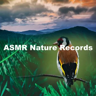 ASMR Nature Records by LBE Nature Recordings