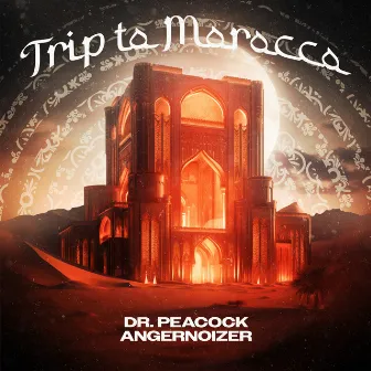 Trip to Morocco by Angernoizer