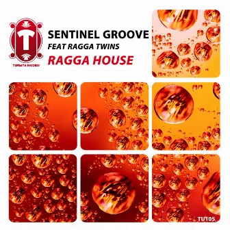 Ragga House by Sentinel Groove