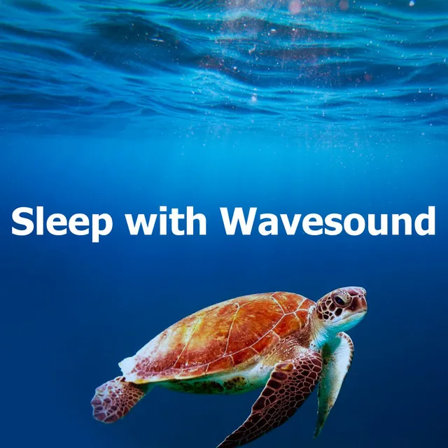 Sleep with Wavesound