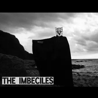 Decider (Single Version) by The Imbeciles