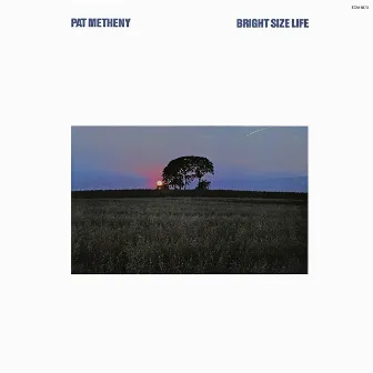 Bright Size Life by Pat Metheny