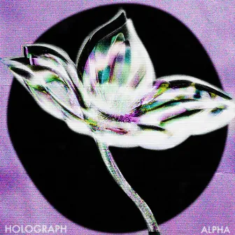 Alpha by Holograph