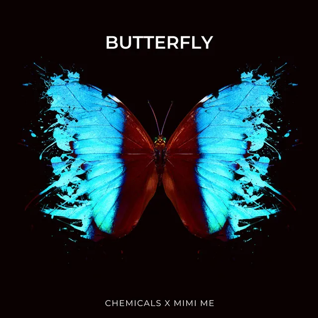 Butterfly - Techno Version