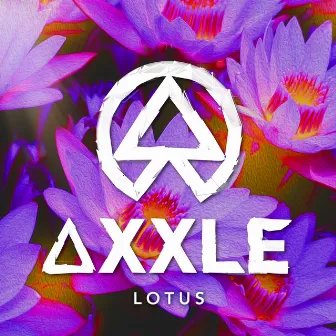 Lotus by Axxle